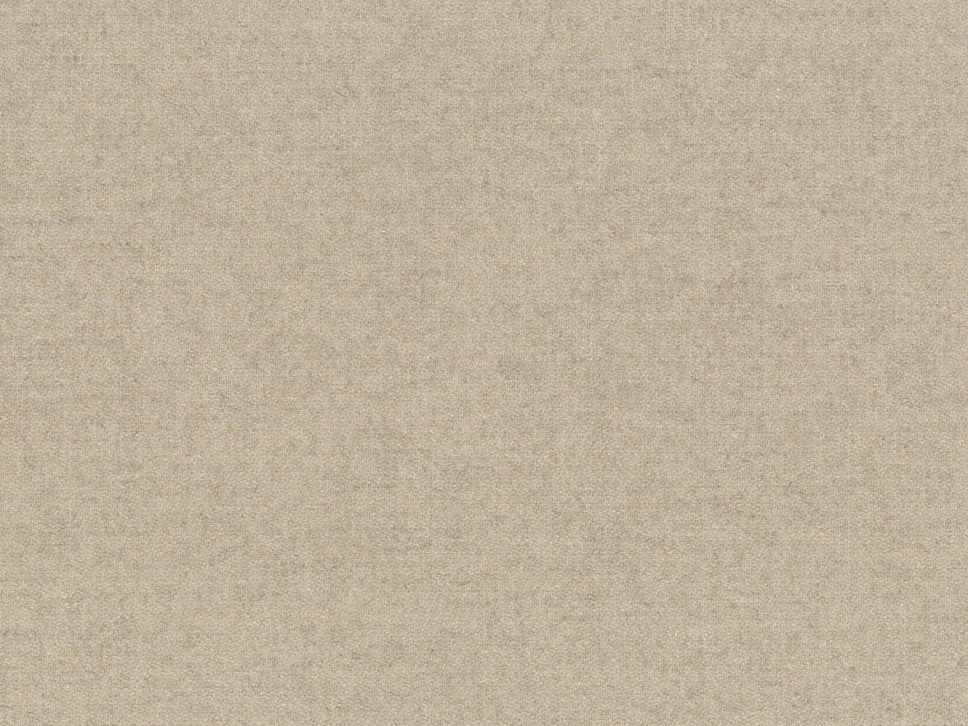 Wool 24 - Light Beige