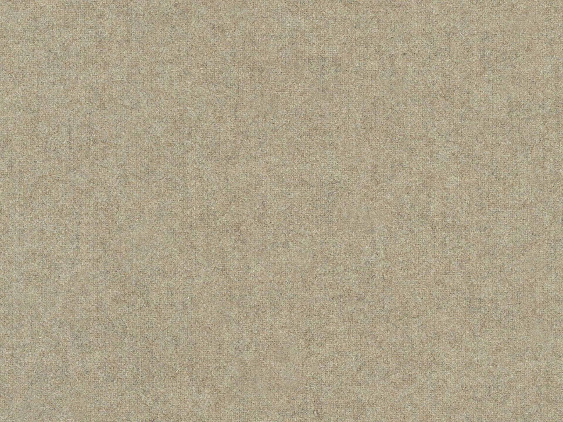 Wool 34 - Medium Beige