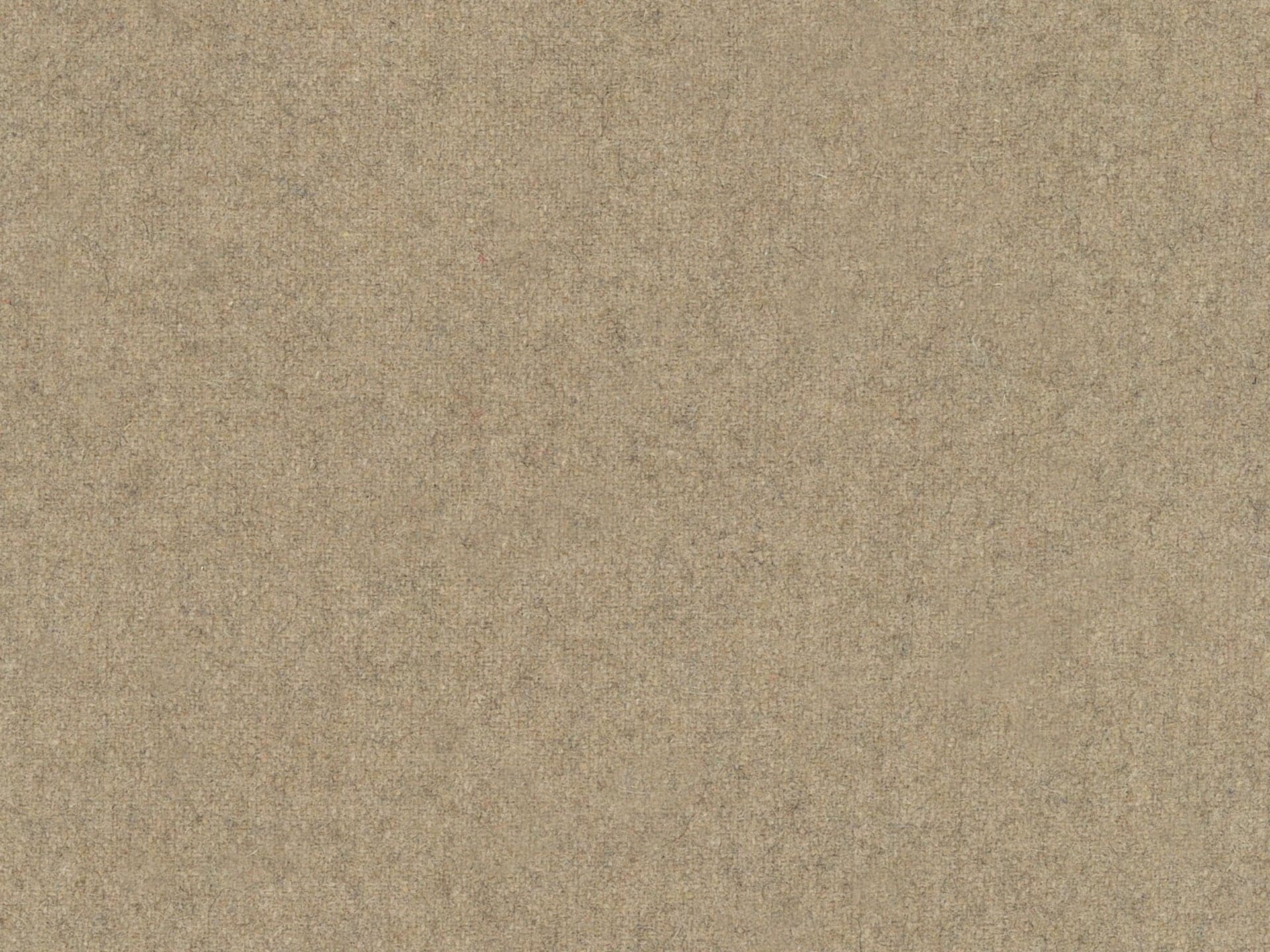 Wool 44 - Camel