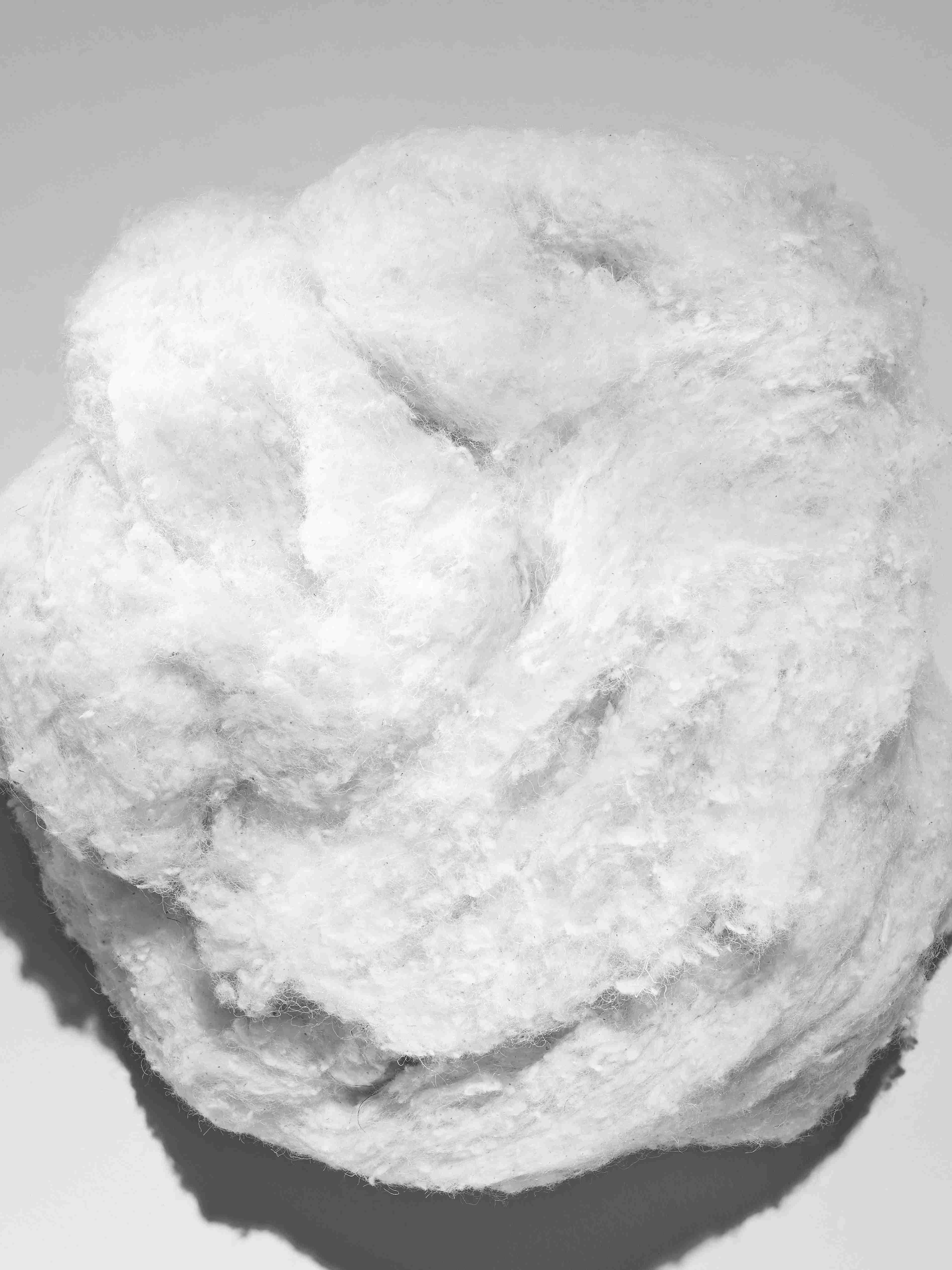 Bomull